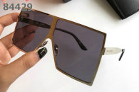 YSL Sunglasses AAA (557)