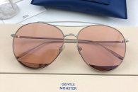 Gentle Monster Sunglasses AAA (546)