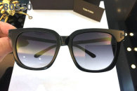 Tom Ford Sunglasses AAA (1071)