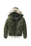 C Down Jacket (325)