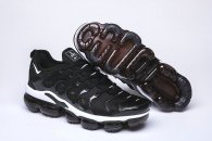 Nike Air VaporMax Plus (33)