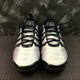Nike Air VaporMax Plus (22)