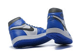 Air Jordan 1 Shoes AAA (99)