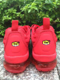 Air VaporMax Plus Women  (14)