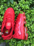 Air VaporMax Plus Women  (14)
