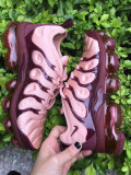 Air VaporMax Plus Women  (9)