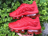 Air VaporMax Plus Women  (14)