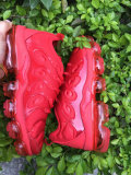 Air VaporMax Plus Women  (14)