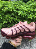 Air VaporMax Plus Women  (9)