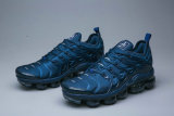 Nike Air VaporMax Plus (43)