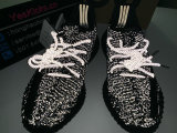 Authentic Y 350 V2 Static Black