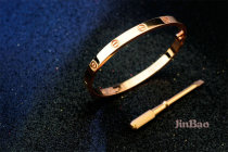 Cartier-Bracelet (300)