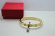 Cartier-Bracelet (506)