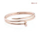 Cartier-Bracelet (382)