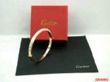 Cartier-Bracelet (499)