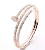 Cartier-Bracelet (351)