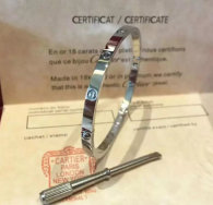 Cartier-Bracelet (569)