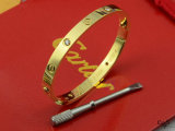 Cartier-Bracelet (463)