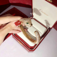 Cartier-Bracelet (259)
