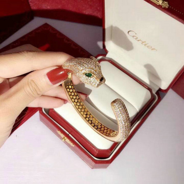Cartier-Bracelet (259)