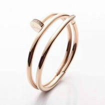 Cartier-Bracelet (353)