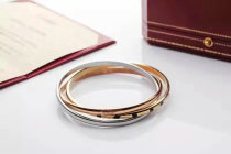 Cartier-Bracelet (358)