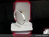 Cartier-Bracelet (412)