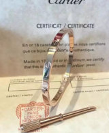 Cartier-Bracelet (571)