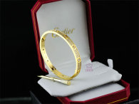Cartier-Bracelet (428)