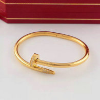 Cartier-Bracelet (388)
