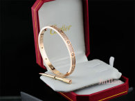 Cartier-Bracelet (313)
