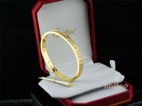 Cartier-Bracelet (312)