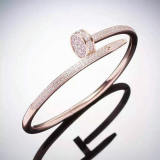 Cartier-Bracelet (342)