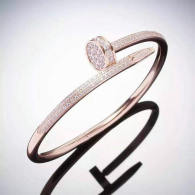 Cartier-Bracelet (342)