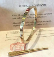 Cartier-Bracelet (573)