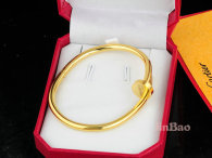 Cartier-Bracelet (331)