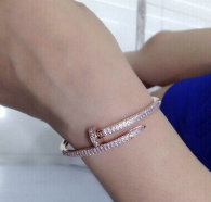Cartier-Bracelet (490)