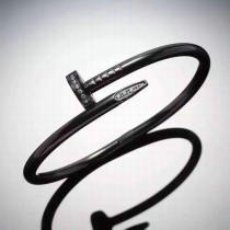Cartier-Bracelet (356)