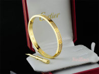 Cartier-Bracelet (306)