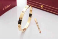 Cartier-Bracelet (578)