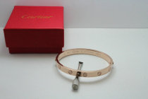 Cartier-Bracelet (505)