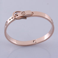 Cartier-Bracelet (496)
