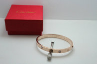 Cartier-Bracelet (507)
