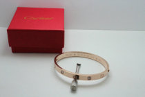 Cartier-Bracelet (507)