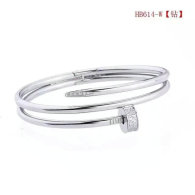 Cartier-Bracelet (363)