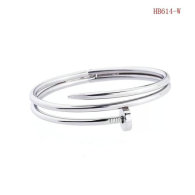 Cartier-Bracelet (383)
