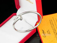 Cartier-Bracelet (334)