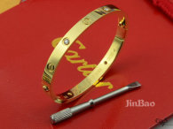 Cartier-Bracelet (321)