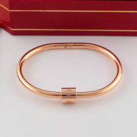 Cartier-Bracelet (345)