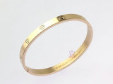Cartier-Bracelet (472)